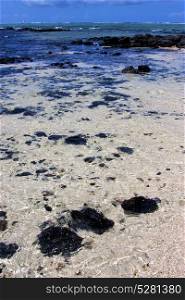 boat foam footstep indian ocean some stone in the island of deus cocos in mauritius blue bay