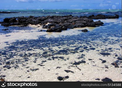 boat foam footstep indian ocean some stone in the island of deus cocos in mauritius