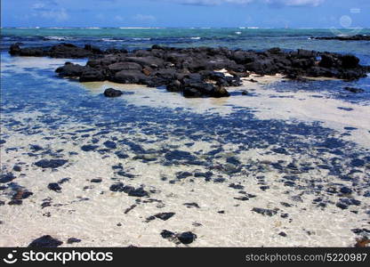 boat foam footstep indian ocean some stone in the island of deus cocos in mauritius