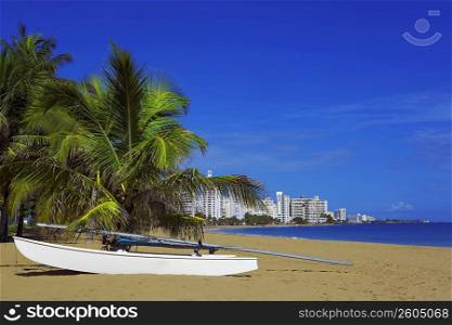 Boat near Palm trees on the beach, Ocean Park, El Condado, San Juan, Puerto Rico