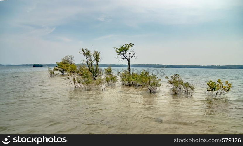 boating on lake hartwell in south carolina