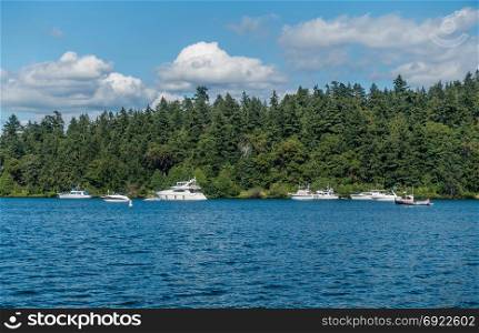 Boats are anchored on Lake Washington near Seattle.