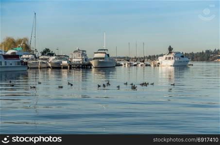 Boats are moored on Lake Washington near Seattle.