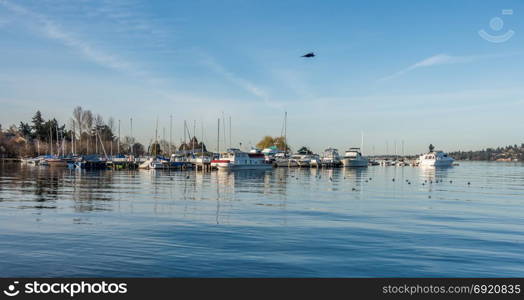 Boats are moored on Lake Washington near Seattle.