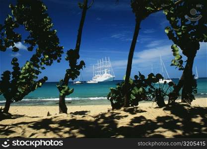 Boats are sailing on a calm sea, The Grenadines