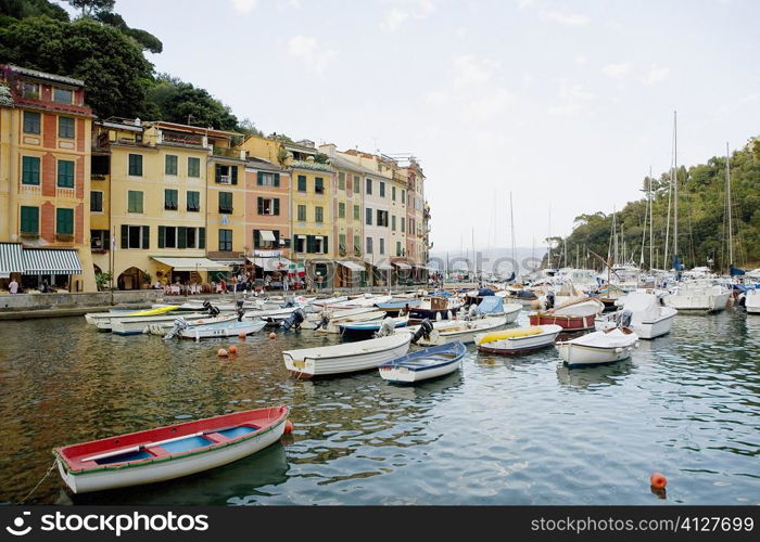 Boats at a harbor, Italian Riviera, Portofino, Genoa, Liguria, Italy