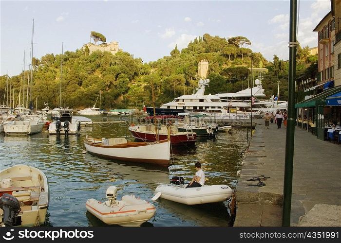 Boats at a harbor, Italian Riviera, Portofino, Genoa, Liguria, Italy