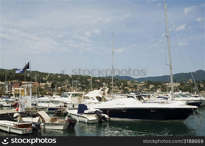 Boats at a harbor, Italian Riviera, Santa Margherita Ligure, Genoa, Liguria, Italy