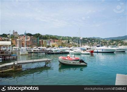 Boats at a harbor, Italian Riviera, Santa Margherita Ligure, Genoa, Liguria, Italy