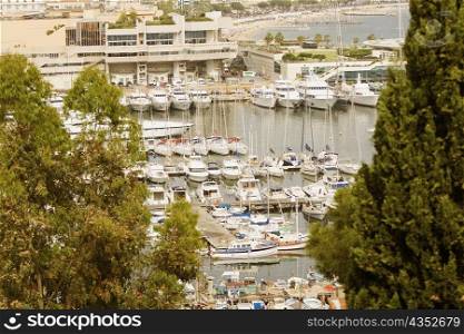 Boats at a harbor, Vieux Port, Cote d&acute;Azur, Cannes, Provence-Alpes-Cote D&acute;Azur, France