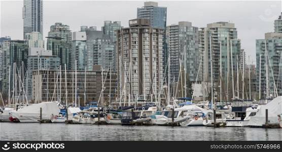 Boats at harbor, Coal Harbour, with Vancouver city skyline, British Columbia, Canada