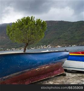 Boats at harbor, Perast, Bay of Kotor, Montenegro