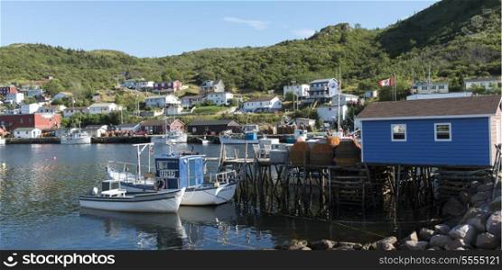 Boats at Petty Harbor-Maddox Cove, St. John&rsquo;s, Avalon Peninsula, Newfoundland And Labrador, Canada