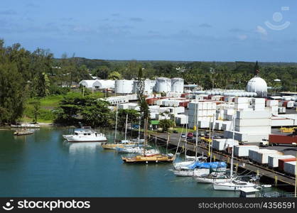 Boats docked at a harbor, Hawaii Islands, USA