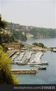 Boats docked at a harbor, Marina Grande, Capri, Sorrento, Sorrentine Peninsula, Naples Province, Campania, Italy