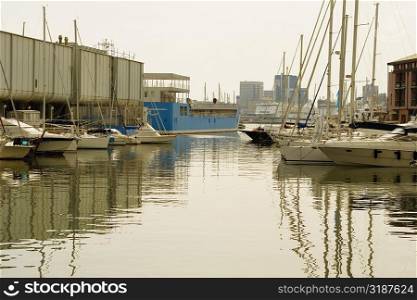 Boats docked at a harbor, Porto Antico, Genoa, Italy