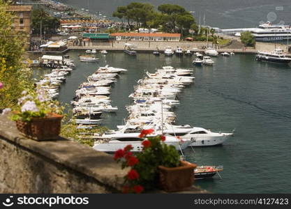 Boats docked at a harbor, Sorrento, Sorrentine Peninsula, Naples Province, Campania, Italy