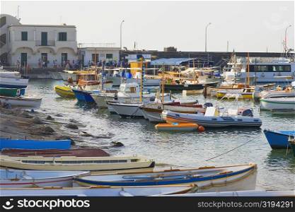 Boats docked at a port, Marina Grande, Capri, Campania, Italy