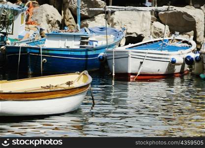 Boats docked at harbor, Marina Grande, Capri, Sorrento, Naples Province, Campania, Italy