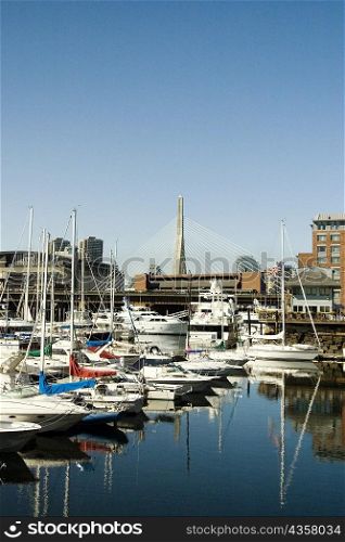 Boats docked at the harbor, Boston, Massachusetts, USA