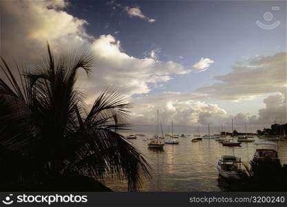 Boats harbored at Christensted, St. Croix, Virgin Islands