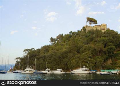 Boats in the sea, Italian Riviera, Portofino, Genoa, Liguria, Italy