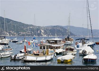 Boats in the sea, Italian Riviera, Santa Margherita Ligure, Genoa, Liguria, Italy