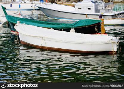 Boats moored at a harbor, Italian Riviera, Genoa, Liguria, Italy