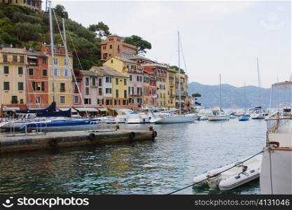 Boats moored at a harbor, Italian Riviera, Portofino, Genoa, Liguria, Italy