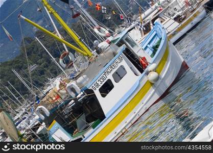 Boats moored at a harbor, Italian Riviera, Santa Margherita Ligure, Genoa, Liguria, Italy