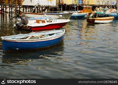 Boats moored at a harbor, Marina Grande, Capri, Sorrento, Sorrentine Peninsula, Naples Province, Campania, Italy