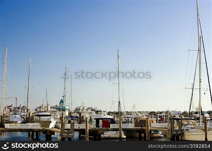 Boats moored at a harbor, Miami, Florida, USA
