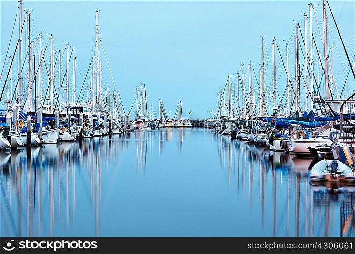 Boats moored in harbour, Santa Barbara