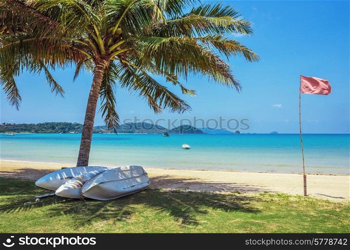 Boats near coconut palm on a tropical sandy beach