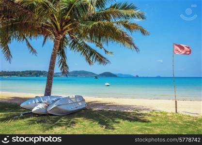 Boats near coconut palm on a tropical sandy beach