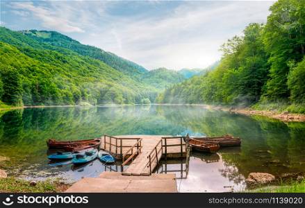 Boats on Biogradska Lake in National Park Biogradska Gora. Montenegro