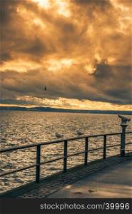 Bodensee lake boardwalk with seagulls staying on the metal railing and a public binocular, under a colorful sky at sunset