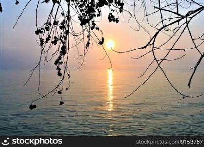 bodensee lake morning sunrise