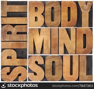 body, mind, soul and spirit word abstract - a collage of isolated text in vintage wood letterpress printing blocks