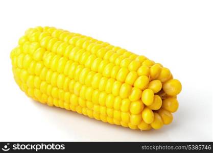 Boiled corn cob isolated on white background