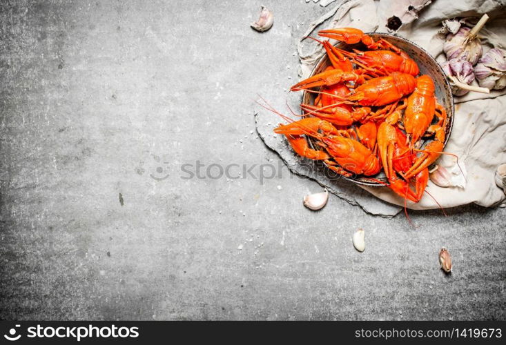 Boiled crawfish with spices and herbs. On a stone background.. Boiled crawfish with spices and herbs.