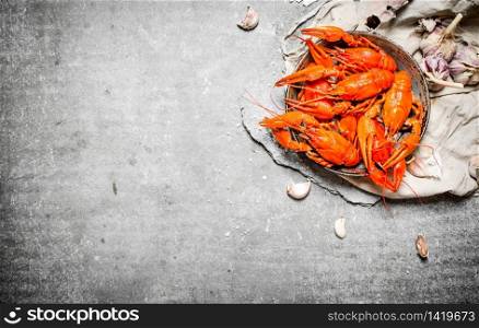 Boiled crawfish with spices and herbs. On a stone background.. Boiled crawfish with spices and herbs.