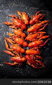 Boiled crayfish on a stone board with salt. On a black background. High quality photo. Boiled crayfish on a stone board with salt.