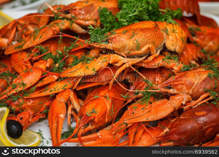 boiled crayfish with herbs and lemon. A tray of freshly prepared juices, decorated with herbs and lemon