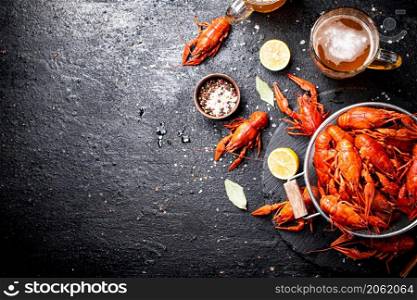 Boiled crayfish with parsley. On a black background. High quality photo. Boiled crayfish with parsley. On a black background.