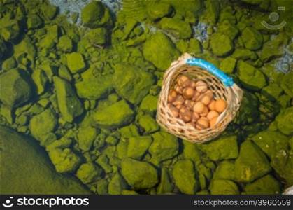 Boiled egg in hot spring, business travel in Thailand