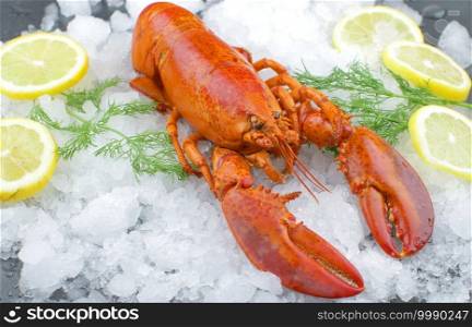boiled lobster on ice with lemon slice