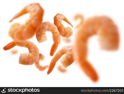 Boiled prawns levitate on a white background.. Boiled prawns levitate on a white background