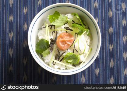 Boiled Rice and Plum Pickles