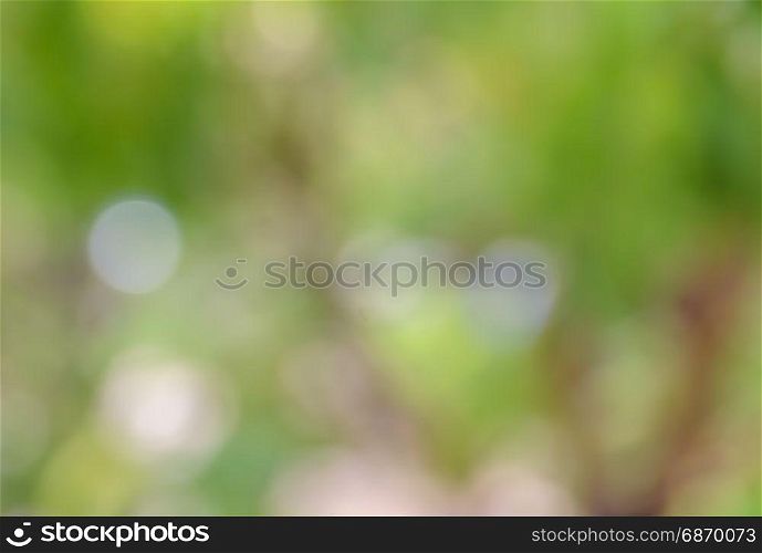 Bokeh abstract background of defocused green nature lights and shadow